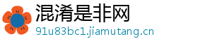 混淆是非网
